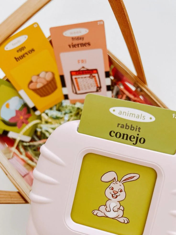 Rechargeable Educational Learning Talking Flash Cards