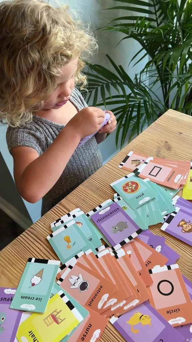 Rechargeable Educational Learning Talking Flash Cards